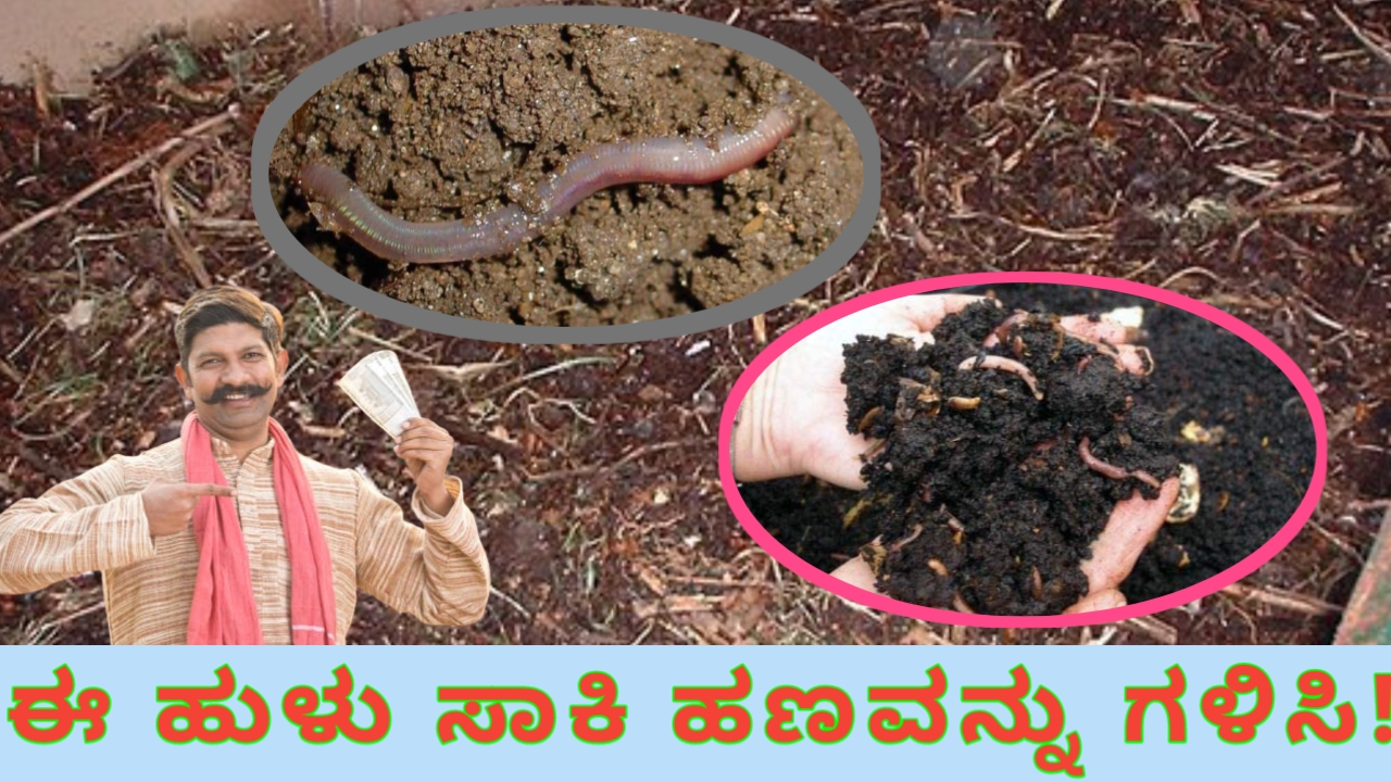 ಎರೆಹುಳು ಕೃಷಿ ಮಾಡಿ ಉತ್ತಮ ಆದಾಯ ಗಳಿಸಿ :