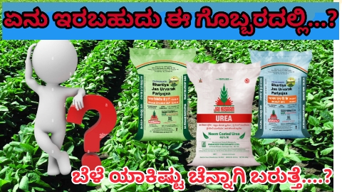 ಡಿಎಪಿ ಅಂದರೆ ಏನಿದು…?