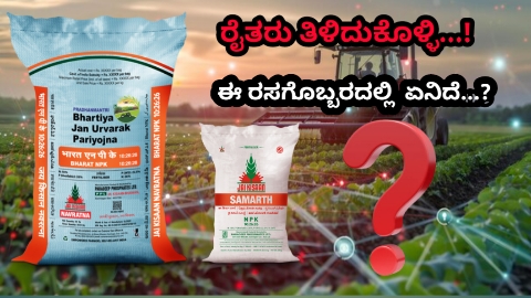 ರೈತರು ಬಳಸುವ ಈ ರಸಗೊಬ್ಬರದಲ್ಲಿ  ಯಾವ ಅಂಶ ಇರುತ್ತೆ ನೋಡಿ….!